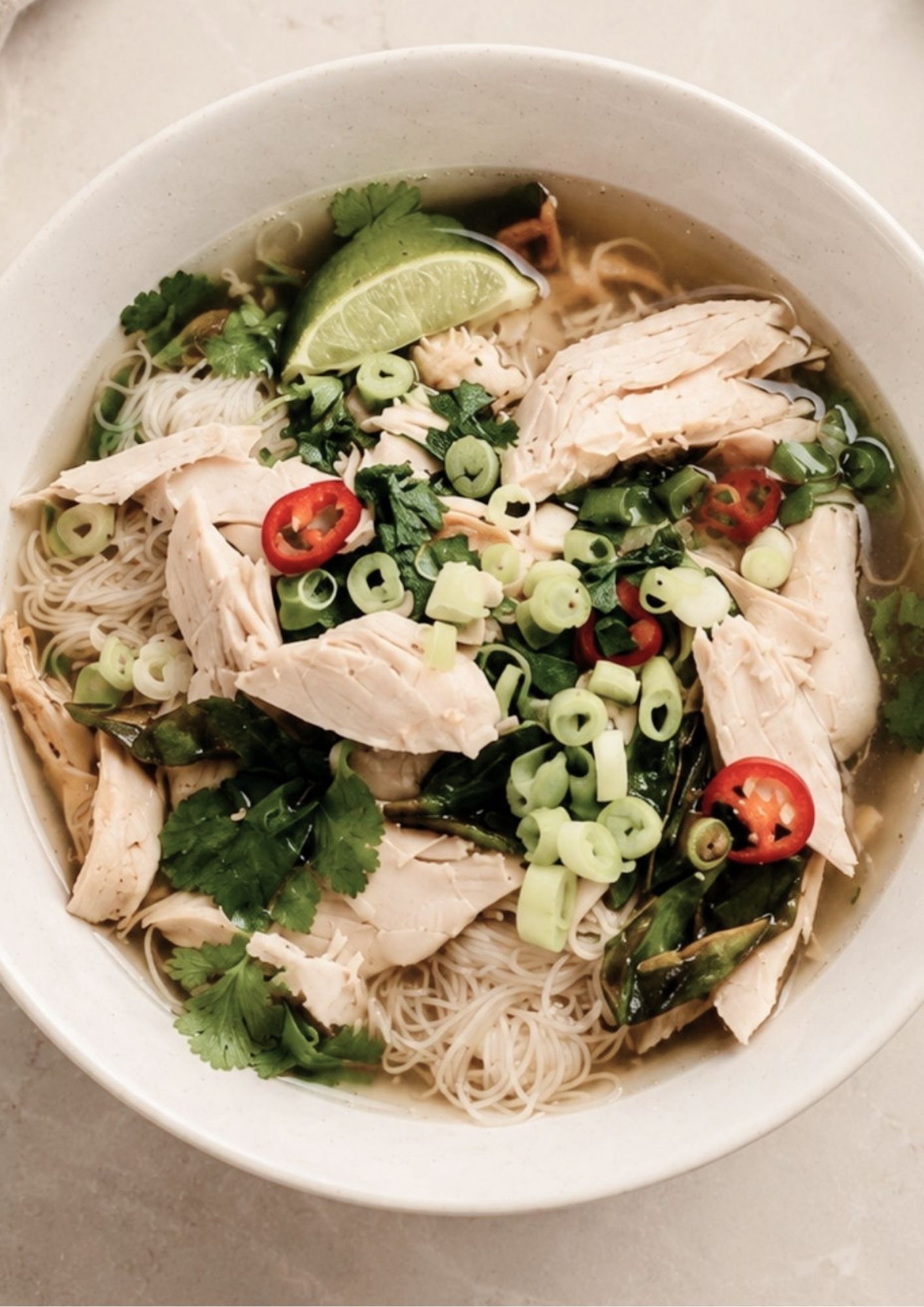 Chicken Noodle Soup